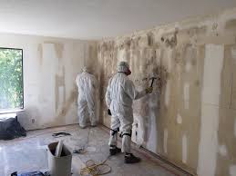 Trusted Pacheco, CA Mold Removal Services Experts